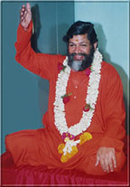 meditation is experiencing everything integrally